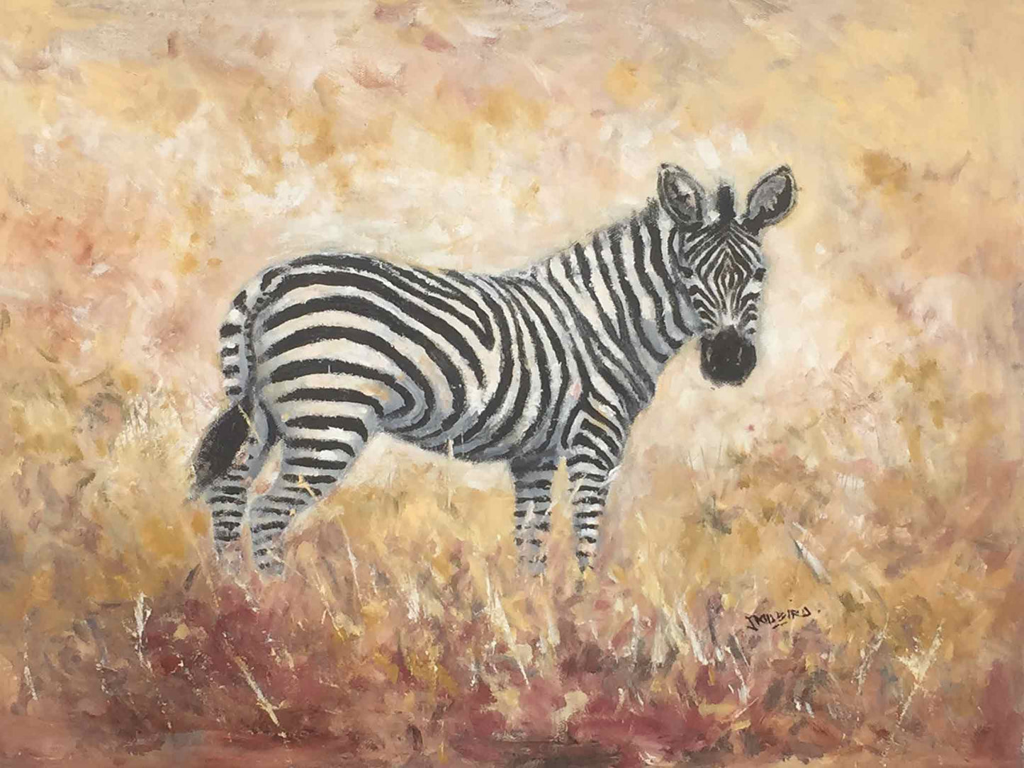 Zebra